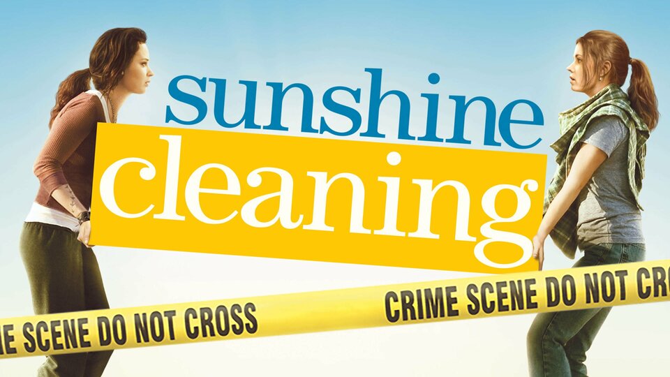 Sunshine Cleaning - 