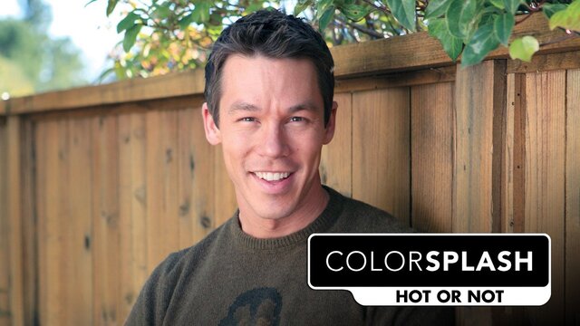 Color Splash: Hot or Not key art