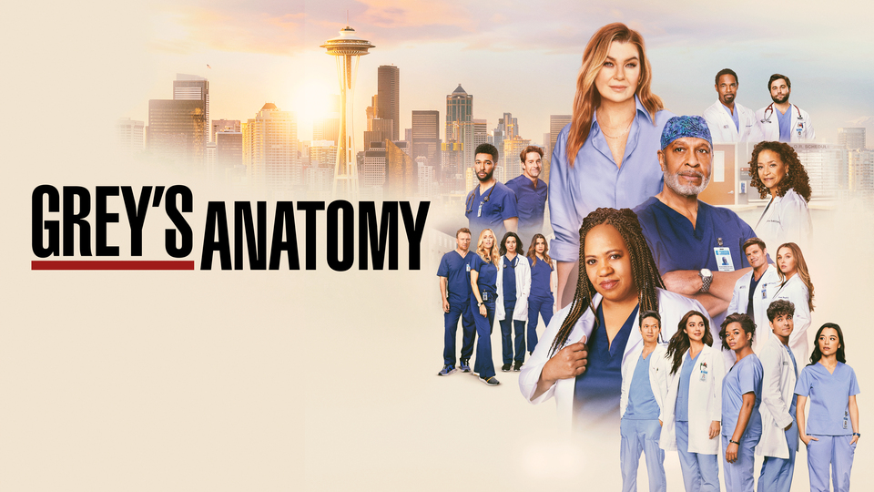 Grey's Anatomy Newsletter