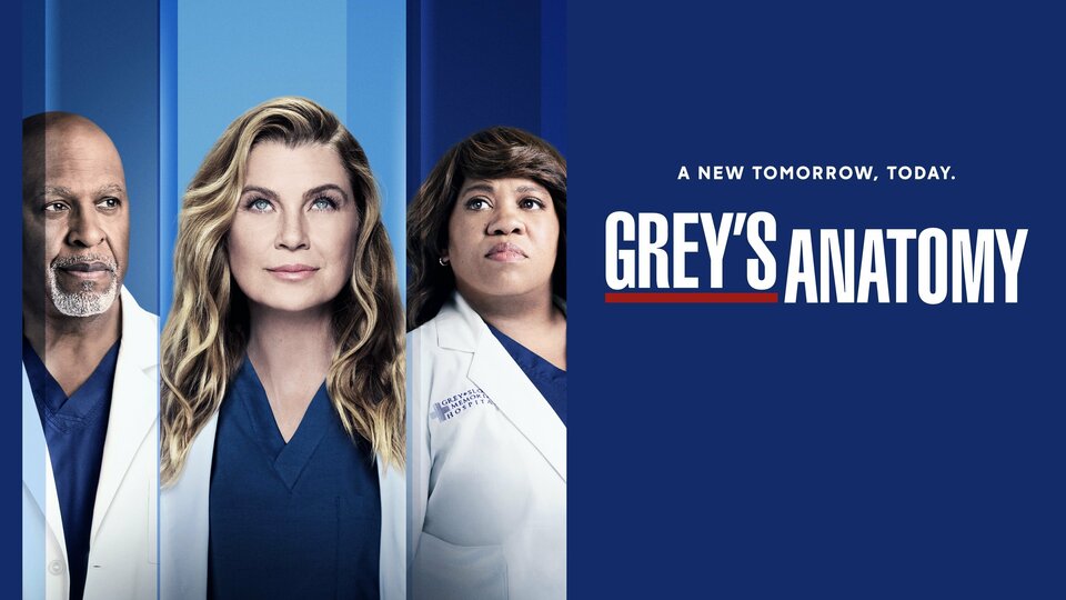 Grey's Anatomy - ABC