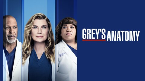 Grey's Anatomy - ABC Series - Where To Watch