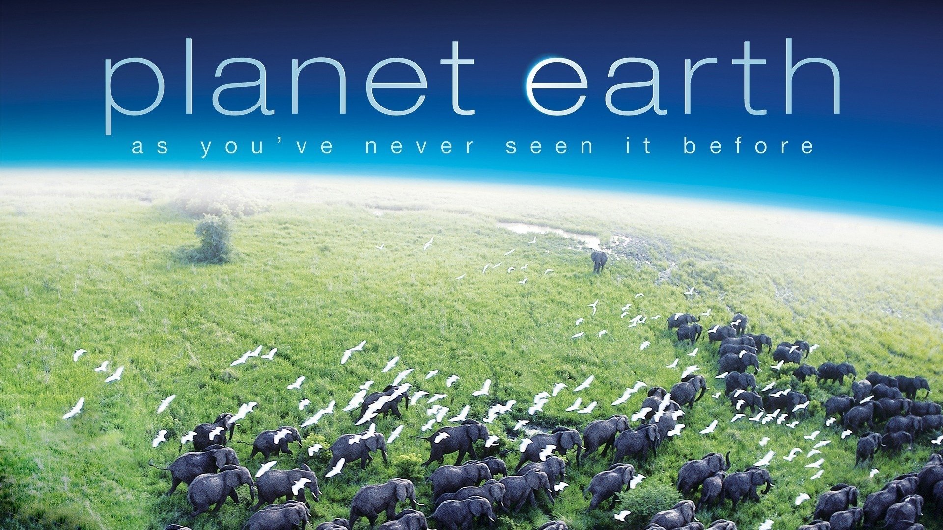 Planet Earth - BBC America Docuseries - Where To Watch