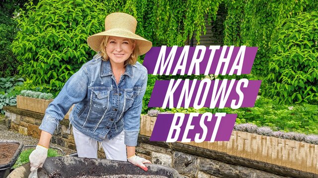 Martha Knows Best key art