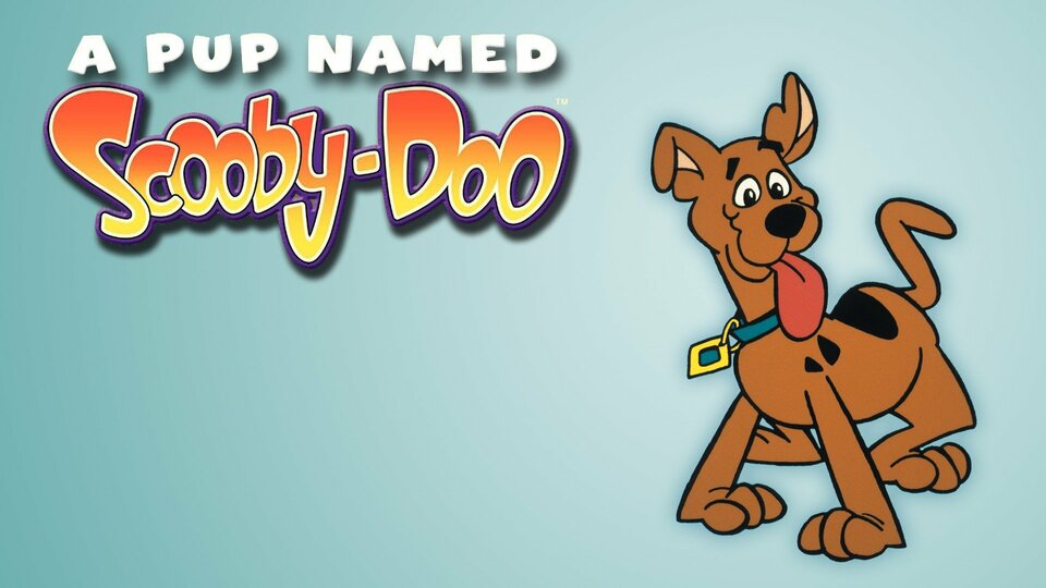 A Pup Named Scooby-Doo - 