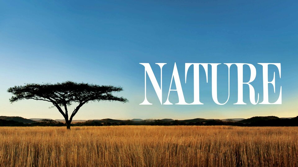 Nature - PBS
