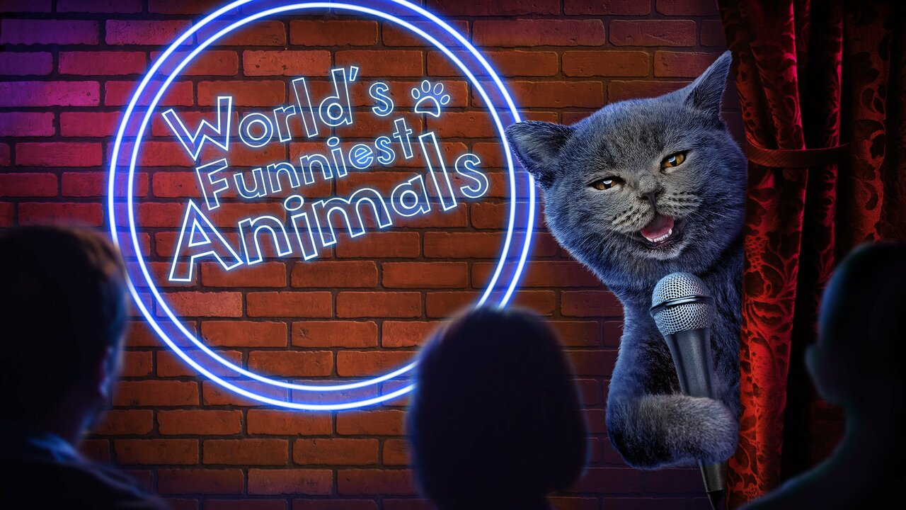 Animals And Omens Xxx Video - World's Funniest Animals - The CW Series - Where To Watch
