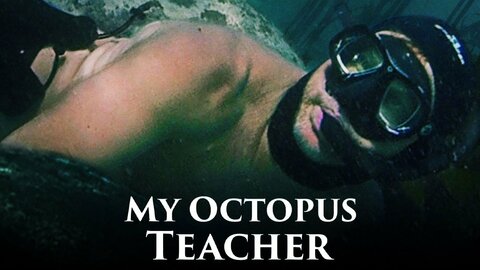 My Octopus Teacher