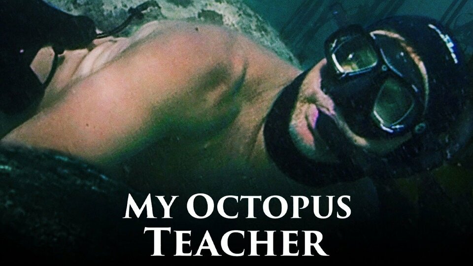 My Octopus Teacher - Netflix