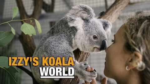 Izzy's Koala World