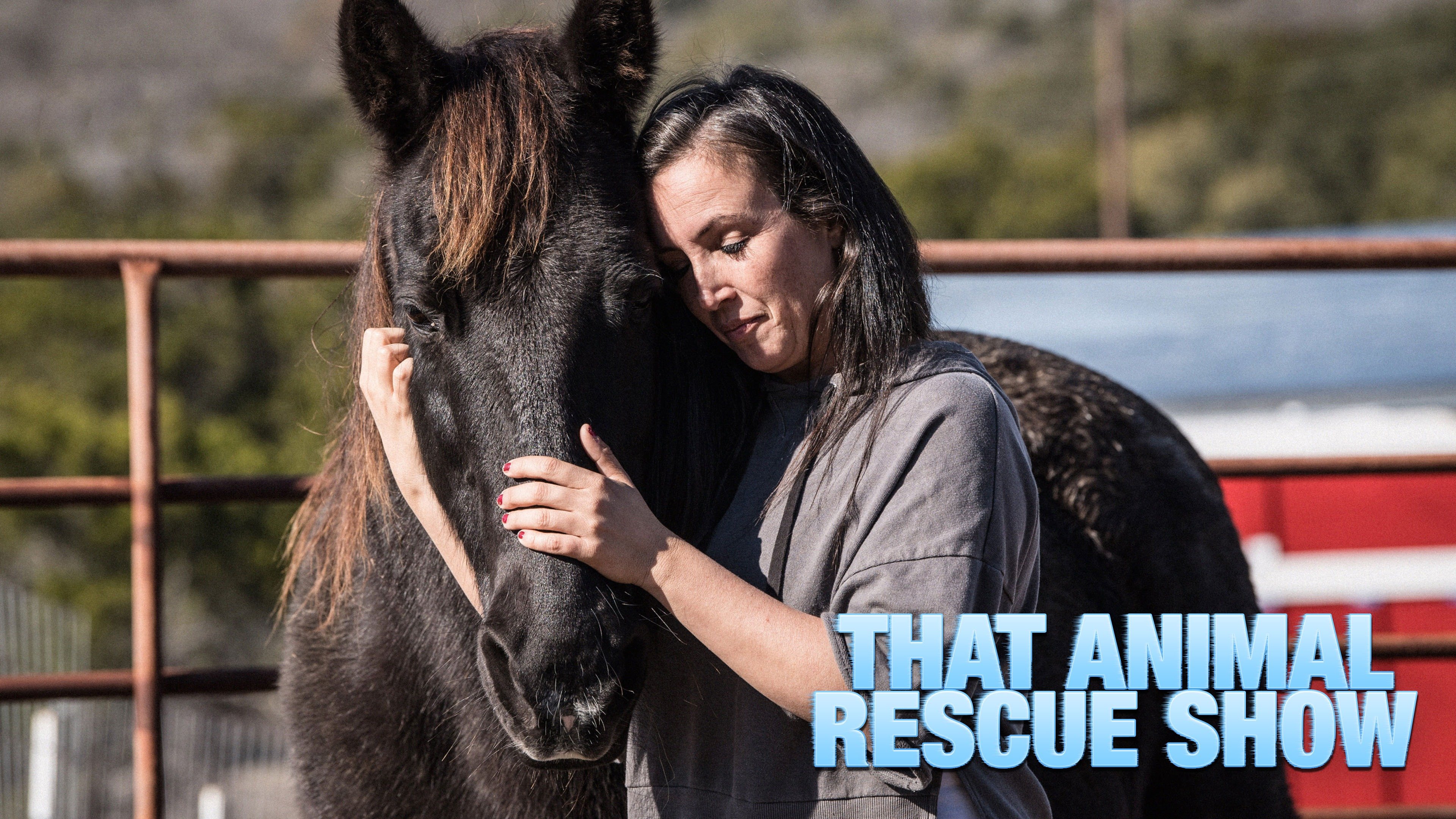 That Animal Rescue Show - Paramount+ Docuseries