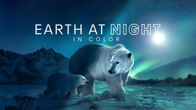 Earth at Night in Color key art