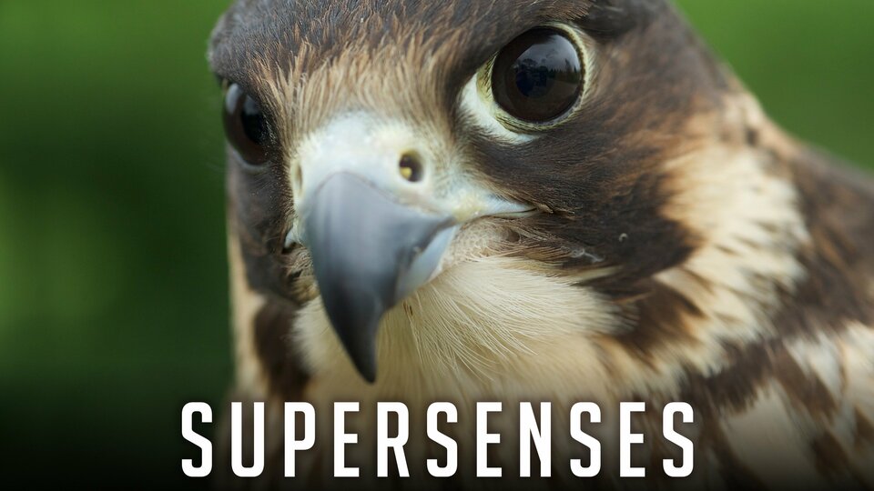 Supersenses - Smithsonian Channel