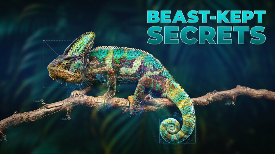 Beast-Kept Secrets - Animal Planet
