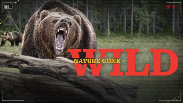 Nature Gone Wild key art