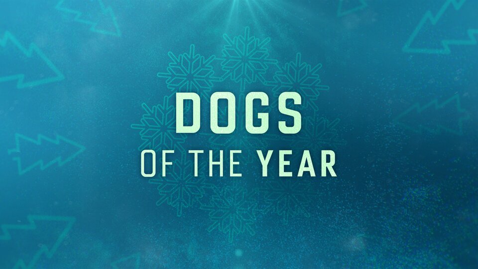 Dogs of the Year - The CW