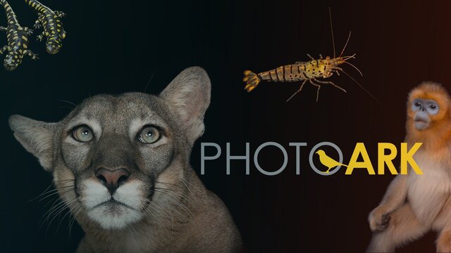 Photo Ark key art
