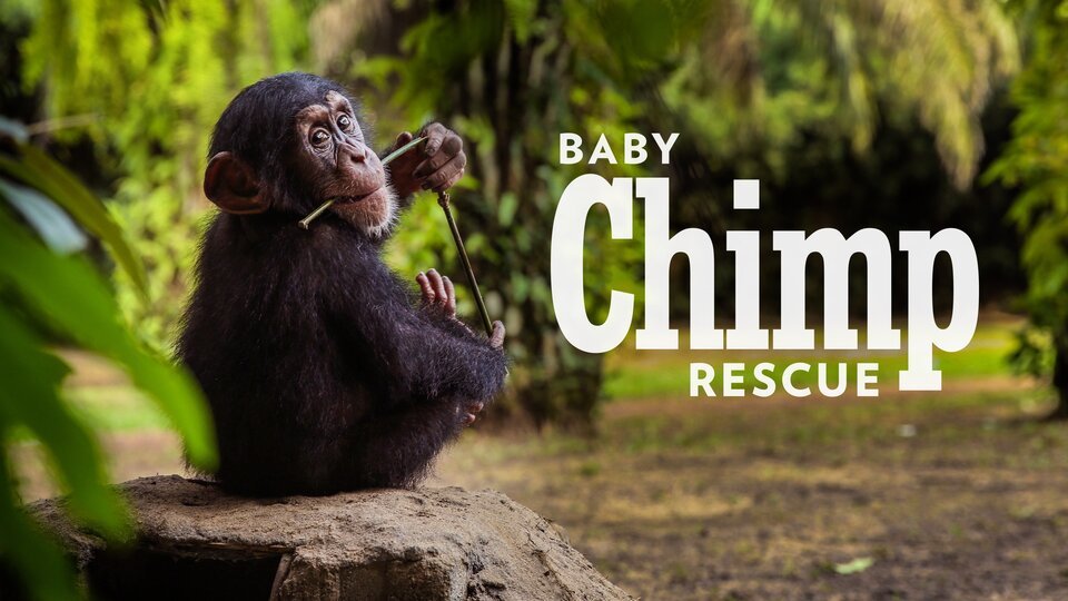 Baby Chimp Rescue