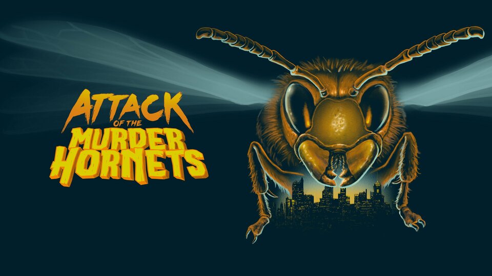 Attack of the Murder Hornets - Discovery+