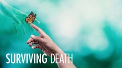 Surviving Death - Netflix
