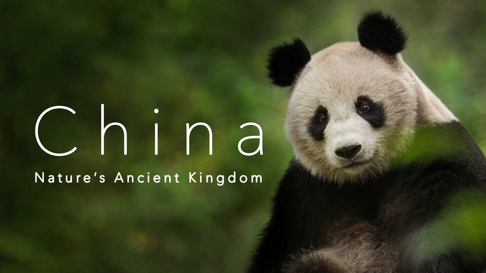 China: Nature's Ancient Kingdom - BBC America