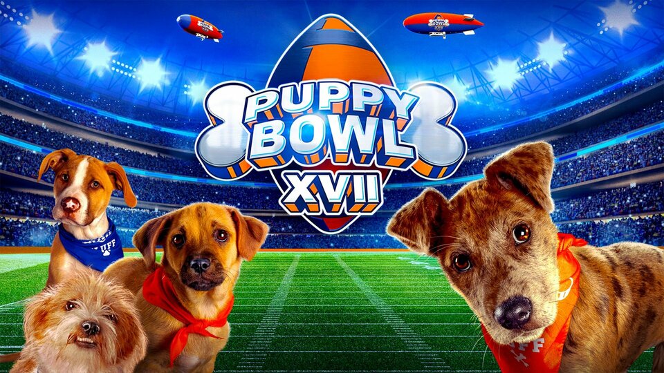 Puppy Bowl Animal Special Where To Watch