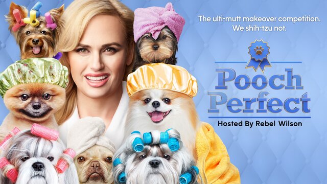 Pooch Perfect key art