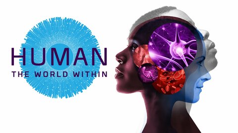 Human: The World Within