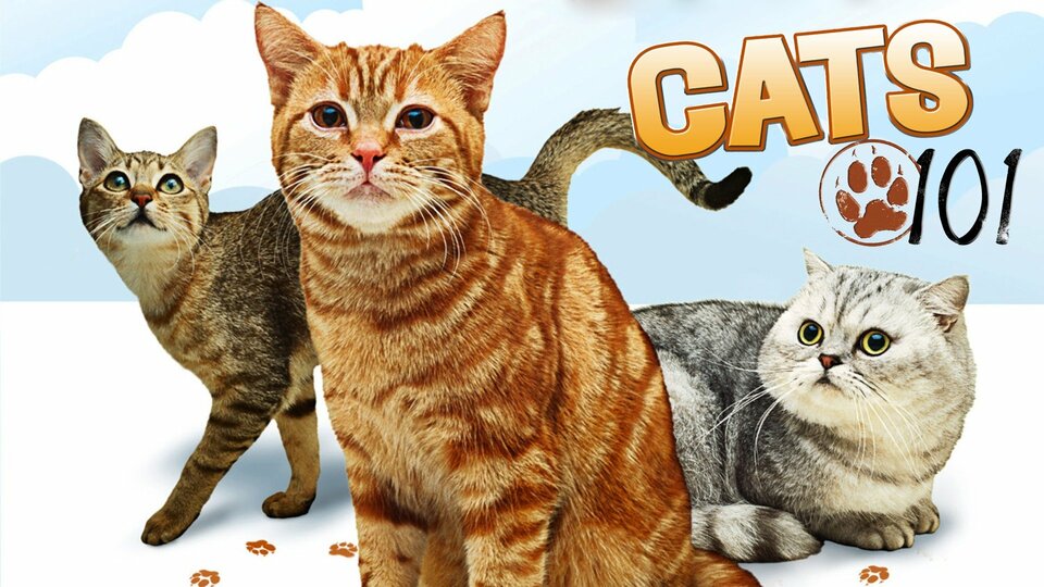 Cats 101 - Animal Planet