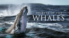 Secrets of the Whales - Disney+