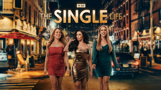 90 Day: The Single Life key art