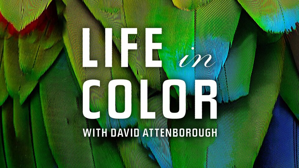 Life in Color With David Attenborough - Netflix