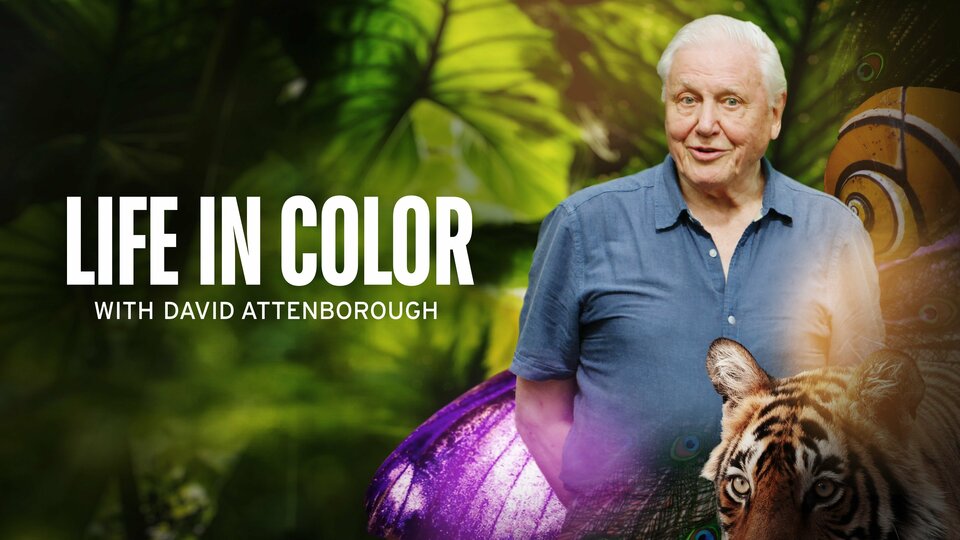 Life in Color With David Attenborough - BBC America