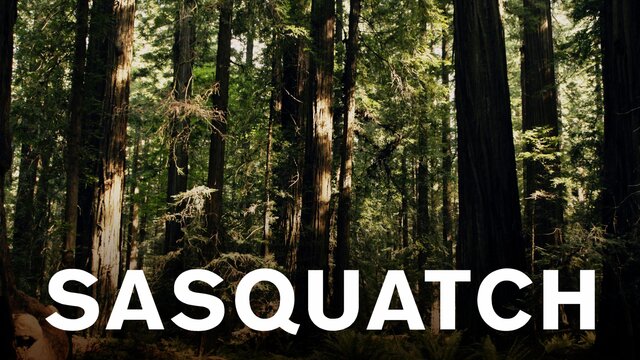 Sasquatch key art