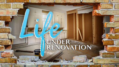 Life Under Renovation