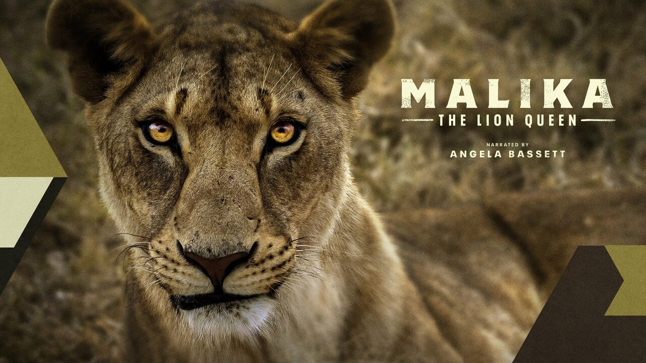 Malika the Lion Queen - FOX Special