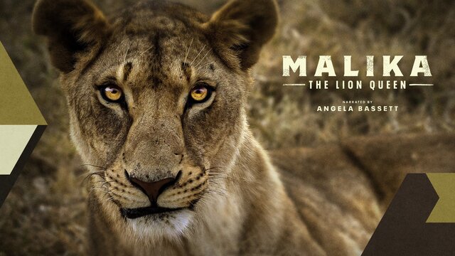 Malika the Lion Queen key art