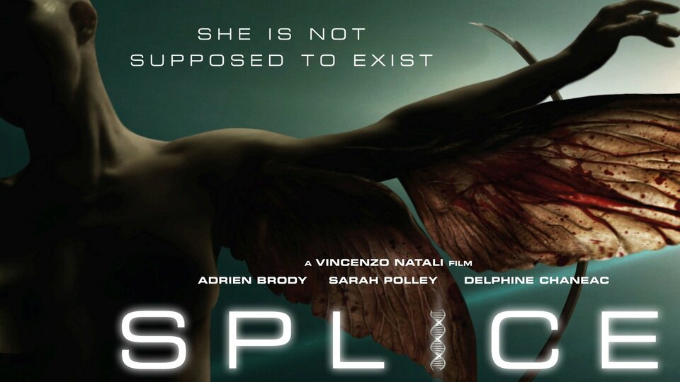 Splice - 