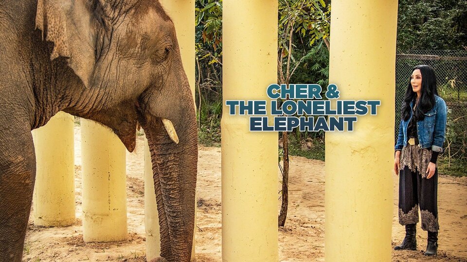 Cher y el elefante más solitario - Paramount + 