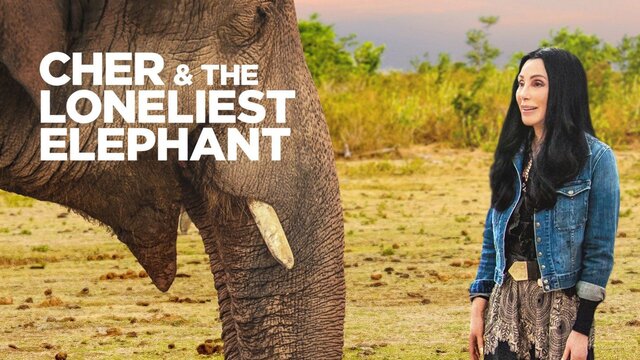 Cher & the Loneliest Elephant key art
