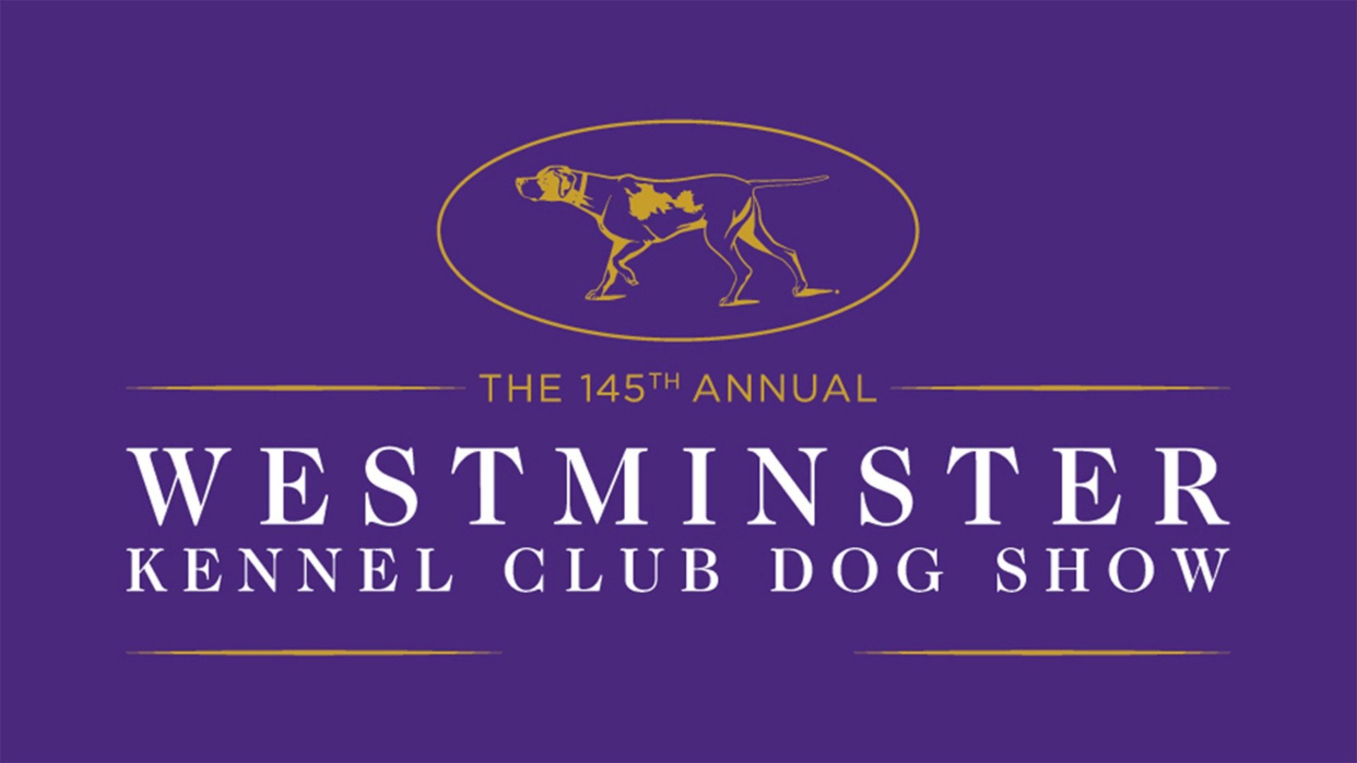 westminster kennel