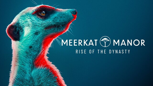 Meerkat Manor: Rise of the Dynasty key art