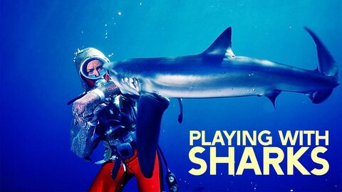 Playing with Sharks