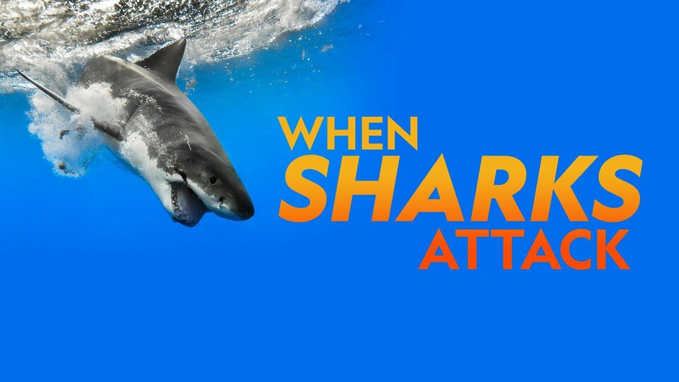 When Sharks Attack - Nat Geo
