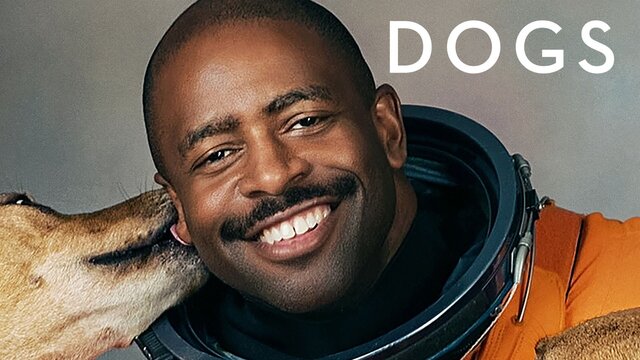 Dogs key art