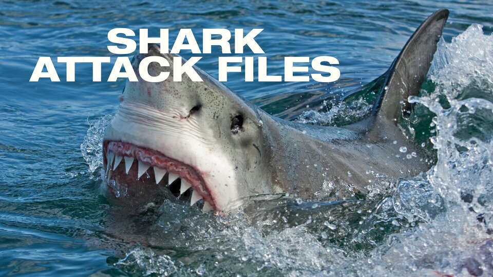 Shark Attack Files - Disney+