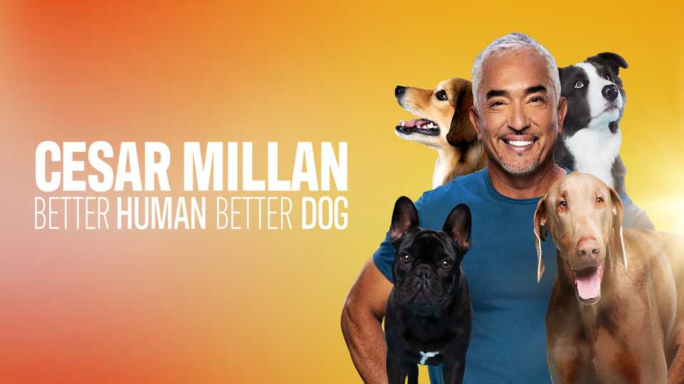 Cesar Millan: Better Human Better Dog - Nat Geo