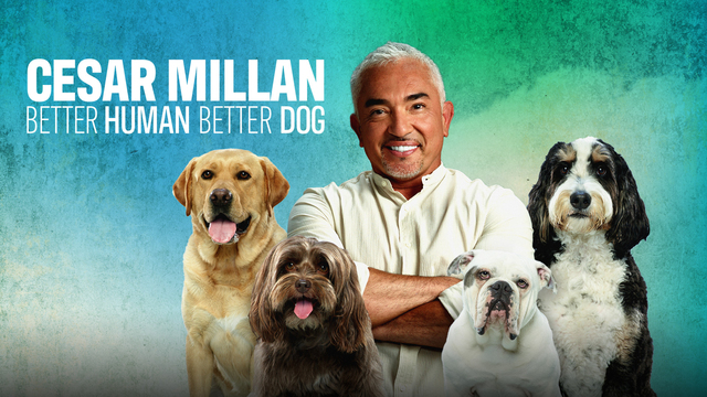 Cesar Millan: Better Human Better Dog key art