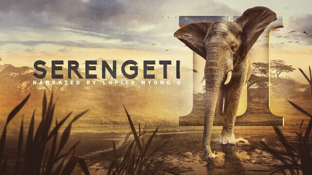 Serengeti key art