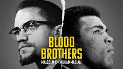 Blood Brothers: Malcolm X & Muhammad Ali - Netflix