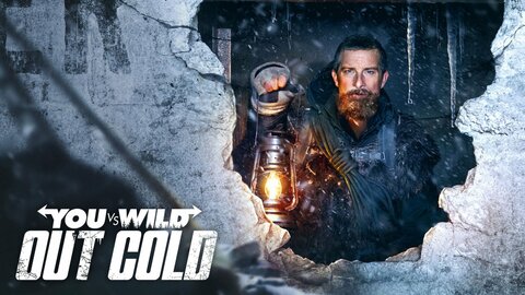 You vs. Wild: Out Cold